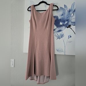 Adrianna Papell Rose Gold Sleeveless A-Line Dress w Cowl Back